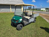 Cushman Hauler 1200 Utility Cart (No Title - $50 Trauma Care Fee Applies): Gas Eng., Manual Dump