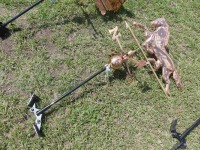 Horse Weather Vane