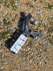 Curt Pintle Hitch 2 5/16" Ball