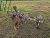 Burts 2-row Cultivator