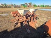 Covington 2-row Planter - 2