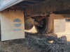 1989 International Box Truck, s/n 1HTLD22P7KH636606: 232K mi. - 12