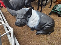 Metal Pig