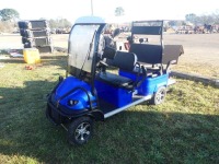 Electric Cart: Lights, Windshield, Charger in Office