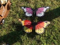 (2) Butterflies