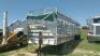 24' Cow trailer