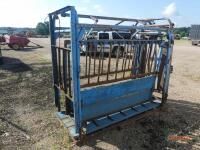 Cattle Head Chute