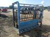 Cattle Head Chute