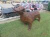 Used Steer Grill