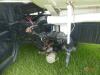 2007 Mack CXP613 Water Truck, s/n 1M1AP02Y77N001808: T/A, Mack MP7 Eng., 10-sp., Front & Rear Discharge, PTO Pump, 19000 GVW, 205K mi. - 6