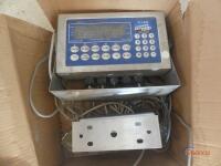 Metal Drive Over Scale w/ Electronic Readout (In Check In Building)