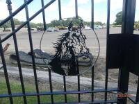 16' Bi-parting Gates: Horse Head Scene, No Posts