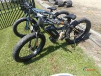 Spirit Fat Tire Electric Bike