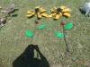(2) Metal Sunflowers