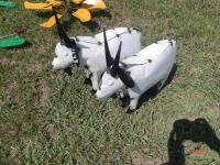 (2) Baby Goats