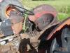 Massey Ferguson Tractor (Salvage) Diesel Eng. - 5