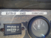 Lincoln Ranger 250 Welder, s/n U1080711913