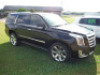 2015 Cadillac Escalade AWD, s/n 1GYS3CKJ2FR154666: Platinum, Loaded, Sunroof, DVD, Leather, Odometer Shows 163K mi. - 2