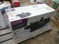 Everbilt Pool Pump