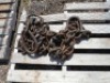 Lot of (2) 3/4" Chain w/ D-Ring & Hook