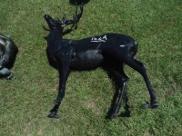 Metal Deer