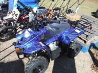 110cc ATV, s/n L9NACFB33N1600987